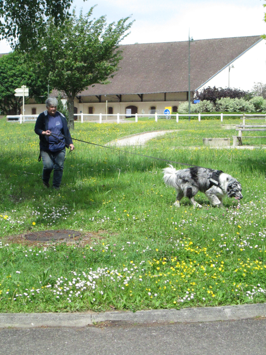 Durch Feld und Wiese